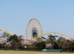 華蔵寺公園桜　03